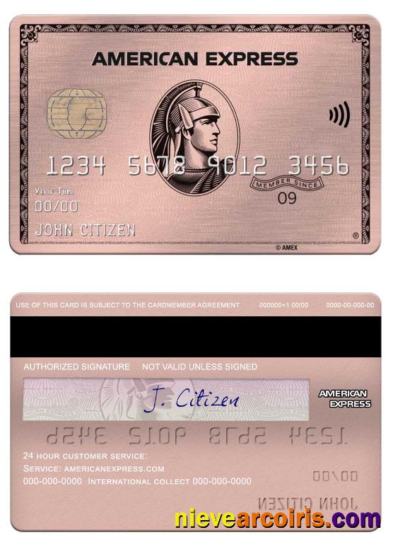 USA University of Southern Indiana bank Amex rose gold metal card